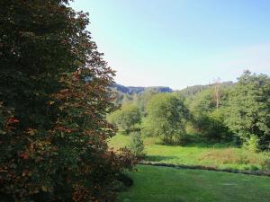 Le ParqueSplendid Mansion in Bastogne with Fenced Garden的享有树木和河流的景色