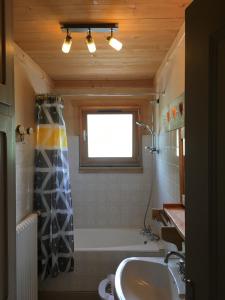 圣母贝莱克托娃赛小木屋酒店的一间带水槽、浴缸和淋浴的浴室