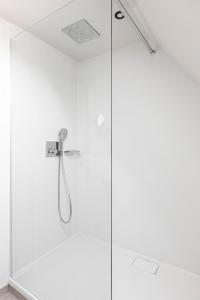 泽德尔海姆Salons Denotter的淋浴设有玻璃门和淋浴头