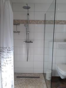 萨尔布吕肯Ferienwohnungen Haus Scheidter 42的带淋浴的浴室和卫生间