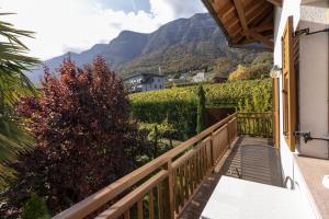 卡尔达罗Stompferhof Familienapartment的阳台享有葡萄园和山脉的景致。