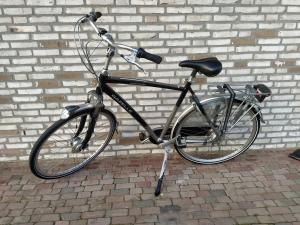 在De Kuiperij内部或周边骑自行车