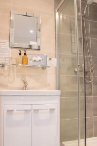 贝尔福德普尔蒂旅馆的带淋浴、盥洗盆和镜子的浴室