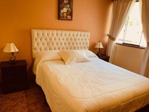 阿亚库乔塞维利亚酒店的一间卧室配有一张带两盏灯的大型白色床。