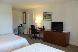 纽马基特Shenvalee Golf Resort的酒店客房配有一张床和一张书桌及一台电视