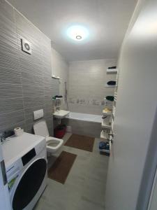 布拉索夫Studio 70的带浴缸、盥洗盆和卫生间的浴室