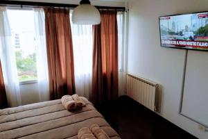 乌斯怀亚FIN DEL MUNDO - EDIFICIO AUSTRALIS的一间卧室配有一张床和一台平面电视