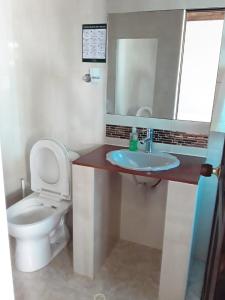 莱瓦镇Hostal Rana的一间带卫生间、水槽和镜子的浴室