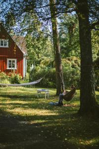 VåxtorpVallåsens Värdshus STF Hostel的坐在带房子的院子的吊床上的人