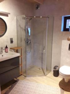 斯托尼拉斯奇Chata Lisa的带淋浴、水槽和卫生间的浴室