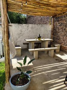康考迪亚El Bicho Negro Hostel的野餐棚,带桌子和盆栽植物