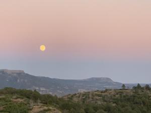 拉顿Valentine's Northern New Mexico Mountain Ranch on Colorado Border retreat的相册照片