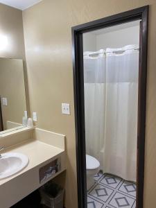 诺曼Thunderbird Lodge, Norman, OK的带淋浴、盥洗盆和卫生间的浴室