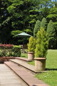 诺里奇Stower Grange Hotel的公园里一排带雨伞的盆栽植物