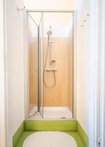 皮尔纳Villa Schmidt的浴室里设有玻璃门淋浴