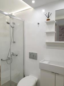 雅典KYMA Apartments - Athens Acropolis 2的带淋浴、卫生间和盥洗盆的浴室
