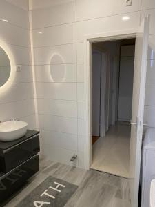 罗佐瓦克维奇公寓的一间带水槽和镜子的浴室