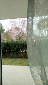 卡托利卡B&B IL NIDO的享有庭院景致的玻璃窗