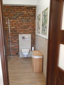 绿山城Drzewna Apartamenty-Drzewna的一间带卫生间和玻璃淋浴间的浴室