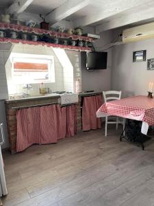 卢本尼彻Lubenice-Rodinis Room and Apartment的厨房配有桌子、水槽和桌子。