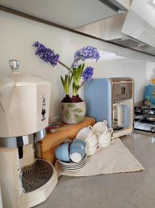 阿尔梅诺Le Farfalle di Armeno的厨房柜台配有咖啡机和微波炉
