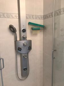 布兰肯贝赫Duplex Blankenberge的浴室内配有淋浴和头顶淋浴
