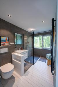 瑟穆瓦河畔夫雷斯Le Chalet的浴室配有卫生间、盥洗盆和淋浴。