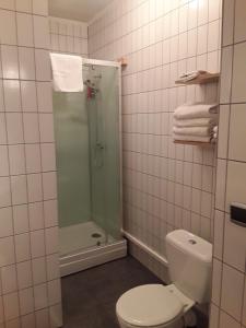 BoutersemWenceslas Cobergher Appartement II的一间带卫生间和玻璃淋浴间的浴室