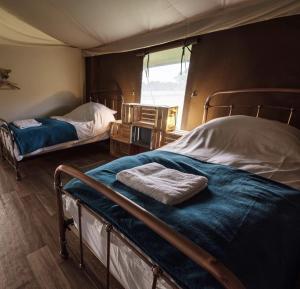 埃克塞特Midleydown Luxury Glamping的一间卧室设有两张双层床和一扇窗户。