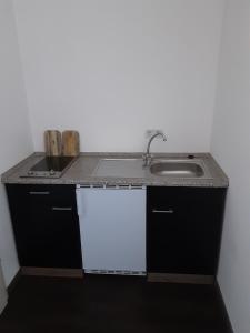 兰根布鲁克阿斯曼膳食公寓的厨房配有水槽和台面
