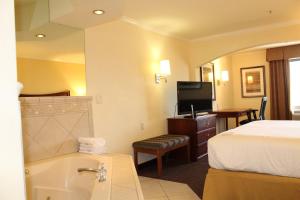 土桑图森购物中心套房智选假日酒店的酒店客房设有带一张床和浴缸的浴室