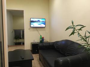 阿莱克西纳茨Hostel Teresianum的客厅配有真皮沙发和平面电视