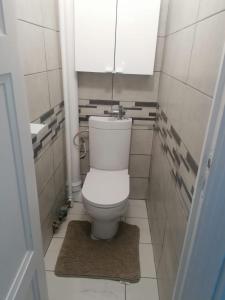 克莱蒙费朗SWEET Appartment avec Wifi et parking的浴室设有卫生间、镜子和地毯。