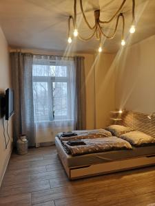 弗瓦迪斯瓦沃沃Apartament z Widokiem的一间卧室设有一张大床和一个窗户。