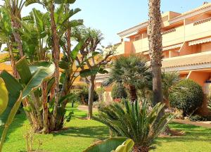 Playas de VeraVera Sol y Mar - Naturist Zone的一座花园,在一座建筑前种植了棕榈树和植物