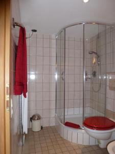 巴特迪克海姆Pfälzer Landhotel Heinrich的带淋浴、卫生间和浴缸的浴室