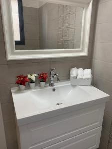 阿拉德Via Arad Apartments的白色浴室水槽,上面有镜子和鲜花