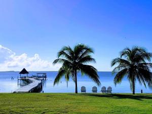 科罗萨尔Tilt-Ta-Dock Resort Belize的相册照片