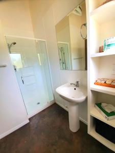 Kaihu贝壳杉海岸十大假日公园 的带淋浴和盥洗盆的白色浴室