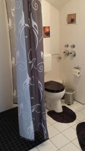 布劳恩拉格斯基维斯河畔高舍公寓的一间带卫生间和淋浴帘的浴室