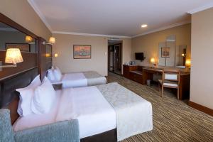 伊斯坦布尔亚洲梦山商务豪华酒店的酒店客房配有两张床和一张书桌