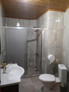 格雷梅DIADEM CAPPADOCIA GUEST HOUSE & HOSTEL的带淋浴、卫生间和盥洗盆的浴室