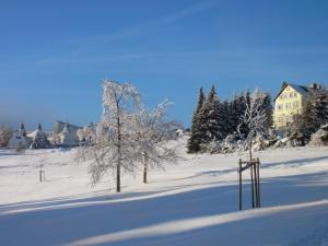 马瑟尔贝格斯科恩奥斯赫特酒店的雪中一棵树,房子在后面