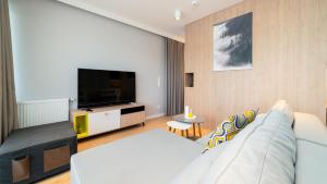 卡尔帕奇Triventi Mountain Residence Apartament Sunrise的带沙发和平面电视的客厅