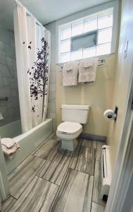 萨利达萨利达美国最有价值旅馆的一间带卫生间和淋浴的浴室