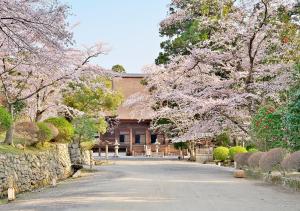 大津Miidera Onjo-ji的车道前有花树的房子