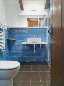 维拉诺瓦Hotel La Casa del Río的蓝色的浴室设有水槽和卫生间