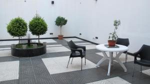 布宜诺斯艾利斯佩德拉萨酒店的配有桌椅和盆栽植物的房间