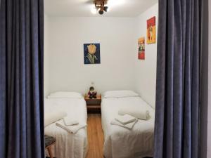 迪蒂斯豪森Apartment F 118 by Interhome的带窗帘的客房内的两张单人床