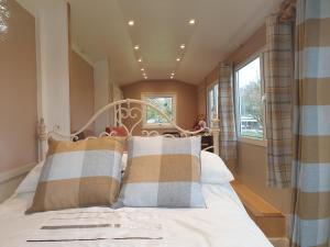 奥斯威斯Riverside Cabin in Shropshire的卧室配有带枕头的床铺和窗户。